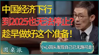 中国经济下行到2025年也无法停止？趁早做好这个准备，小心回头发现自己已无路可走！ #窦文涛 #梁文道 #马未都 #周轶君 #马家辉 #许子东 #圆桌派 #圆桌派第七季