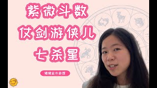 『紫微斗数』“仗剑游侠儿”七杀