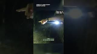 Hatchet-wielding Florida Man Strikes Victim Before Stealing His Car: Deputies