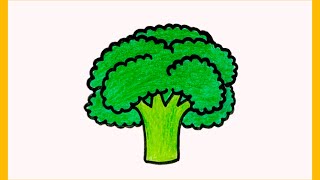 How to Draw Broccoli Step by Step| Broccoli Drawing