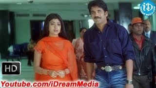 Nenunnanu Movie - Aarti Agarwal, Shriya, Nagarjuna, Siva Parvathi Nice Scene