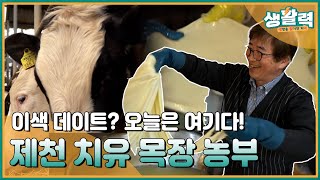 목장으로 여행가자~ 제천 치유목장🐄 ㅣMBC충북ㅣ240423