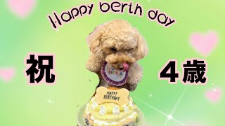 ７月７日のゆめちゃんの誕生日の様子です☺️