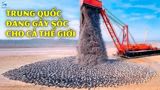 Trung Quốc Đổ Hàng Triệu Tấn Cá Vào Sa Mạc Và Chôn Rơm Khô Trong Cát – Kết Quả Gây Sốc Cả Thế Giới