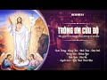 Mục Vụ Ngợi Ca 9: TRÔNG ƠN CỨU ĐỘ ( Cầu Nguyện cho các linh hồn đã qua đời trong cơn dịch bệnh)