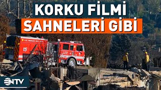 Bilanço Ağırlaşıyor! Los Angeles Korku Filmi Sahnelerini Yaşıyor | NTV