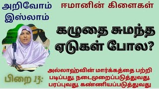 கழுதை சுமந்த ஏடுகள் போல...#அறிவோம்இஸ்லாம் #பிறை -13 #அழகியமுன்மாதிரி