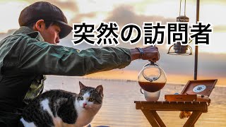 【キャンプ】突然の訪問者⁉︎キャンプ場に居た猫が超絶可愛かった‼︎