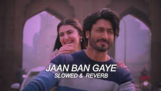 Jaan Ban Gaye - slowed & reverb || lofi || trending song