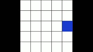 Working Spatial Memory Test Control