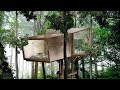 Cool & Modern Tree House Design and Ideas - Best TreeHouse