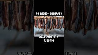 왜 이제는 청어보다 꽁치 과메기가 많을까?