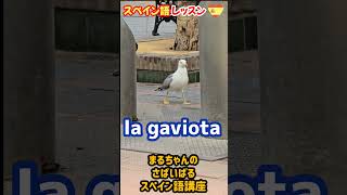 【スペイン語単語】ボキャブラリーを増やそう！#スペイン語レッスン #スペイン語