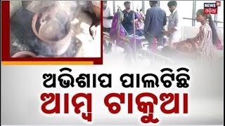 ଆମ୍ବ ଟାକୁଆକୁ ନେଇ ପୁଣି ତେଜିଲା ରାଜନୀତି | Kandhamal Daringbadi Mango Seeds News | Berhampur MKCG