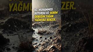 Peygamber Efendimiz buyurdu; \