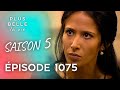 Saison 5, Épisode 1075 - PLUS BELLE LA VIE | La vérité éclate