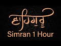 Waheguru Simran 1 Hour Meditation