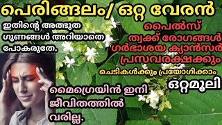 മൈഗ്രൈൻ ഇനി ജീവിതത്തിൽ വരുകയേയില്ല ഇങ്ങനെ ചെയ്യൂhowto get instant relief from Migraine Surmiescrafty