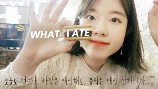 VLOG. 사람은 배신해도 음식은 배신안해 WHAT I ATE 일상 브이로그