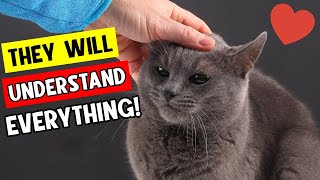 5 Secret Ways to Tell Your Cat You Love Them! ❤️