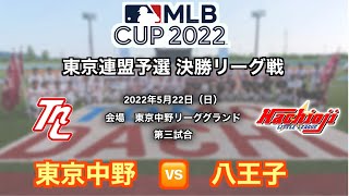 AIGプレゼンツ MLBCUP2022 東京連盟予選 決勝リーグ戦