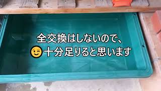 【金魚・らんちゅう】冬眠明けの水温調整！餌やり開始！加温中の水替え準備！