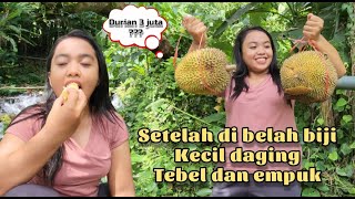 Keliling pedesaan , mencoba durian lokal warga setempat || Rasanya tak kalah dengan durian mahal