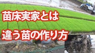 【会社員実家農業手伝う】2020年五条植え田植え機イセキダブル車輪に・・・苗床は広々だ