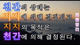 천간과 지지의 관계, 12지지의 음양 - 피클의 행복한 명리