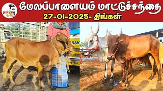 27-01-2025/ மேலப்பாளையம் மாட்டுச்சந்தை /திருநெல்வேலி மாவட்டம் /திங்கள் கிழமை.