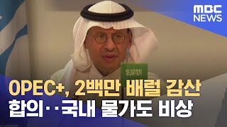 OPEC+, 2백만 배럴 감산 합의‥국내 물가도 비상 (2022.10.06/뉴스투데이/MBC)