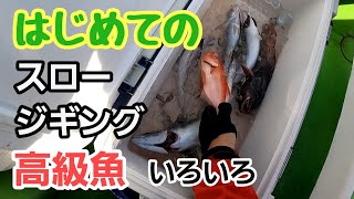 はじめてのスロージギング 中深海根魚五目 2023年1月中旬 大磯邦丸　※後半はいろいろ魚料理