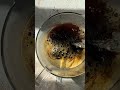 coffee agar jelly