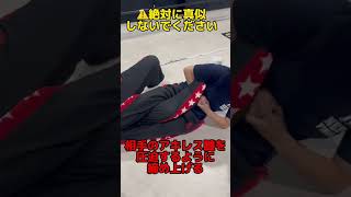 元プロレスラーのアキレス腱固め解説#shorts #プロレス #prowrestling #技解説