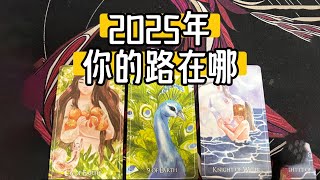 塔羅占卜 | 2025你可以大胆定下哪些规划？撬动生活如何去做 必胜！（无时限）