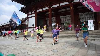 臥鷲桜　バサラ祭り2019東大寺中門前