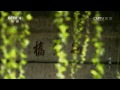 园林分段 第一集仙境在人间（三） 中国关于兰花种植的记录