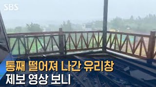 [제보] 통째 떨어져 나간 유리창…누워버린 가로수 / SBS