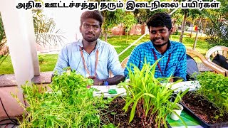 பயோ டெக்னாலஜி மாணவர்களின் புதிய கண்டுபிடிப்பு | Innovation of biotechnology students