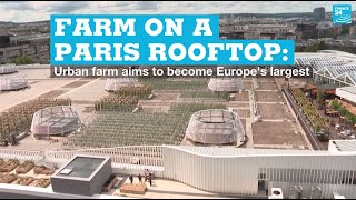 Farm on a Paris rooftop: Urban farm aims to be Europe’s largest