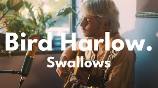 Subdued Sessions | Bird Harlow \