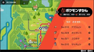 ポケモン剣盾　ポケモン図鑑（ガラル図鑑）完成