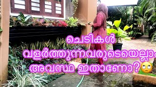 ഓരോ ദിവസവും ഇങ്ങനെയൊക്കെയാണ്/ VLOG/Gardening / Cooking