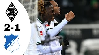 Borussia M'gladbach VS TSG Hoffenheim 2-1 Highlights | Bundesliga 2023/2024