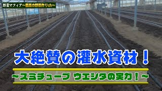 【灌水資材】２通りの使い方のできる灌水資材〜スミチューブ　ウエシタ〜