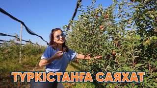 Түркістанға саяхат | 6 шығарылым