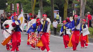 「 神羅卍翔 」YOSAKOIソーラン日本海彦根三十五万石2017/6/18(日)【市役所前通りパレード】