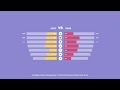 Flat Infographics Horizontal Bar Charts for After Effects 2022