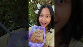 MAKAN SARANG MADU SEKALIGUS LEBAHNYA #shortvideo