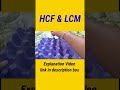 HCF&LCM Activity #lcm_and_hcf #lcm #hcf #mathsactivity Working model of HCF and LCM